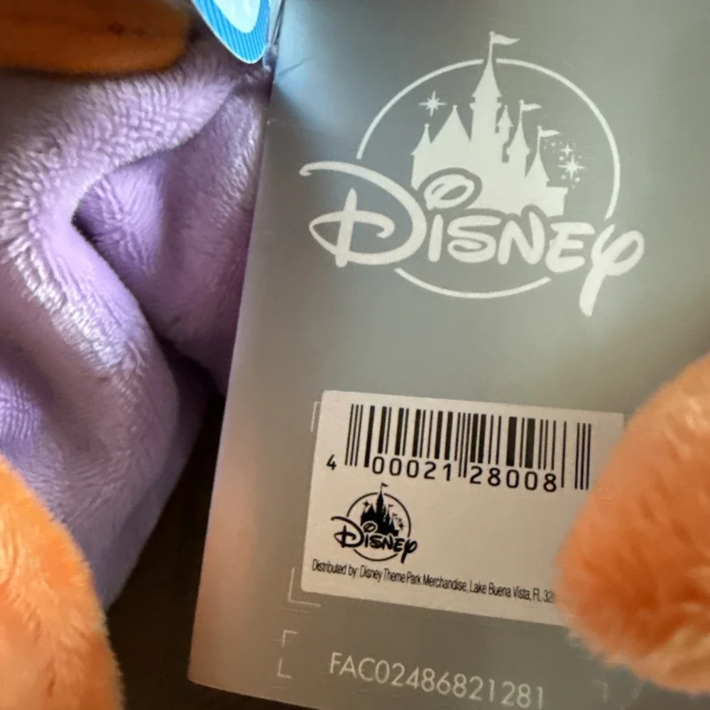 Disney parks dream